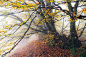 I Want This Forever To Be A Dream (Autumn)