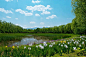 翠湖国家湿地公园
