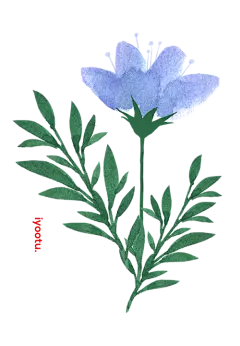 春季春天手绘鲜花花卉花框合成元素_PNG：