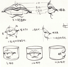 秦嶘采集到插画