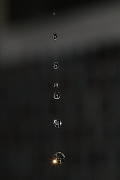 雨鸽采集到随性