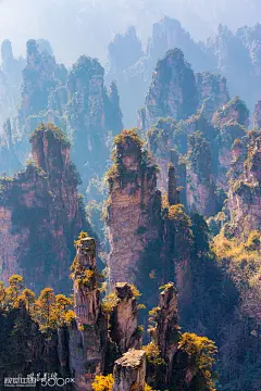 Let the Light In by Casey McCallister on 500px