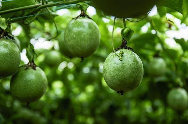 src=http%3A%2F%2Fwww.brightmart.com.cn%2Fresource%2Fimages ...