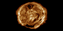 kikihia采集到sun