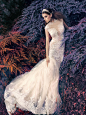 神秘的天鹅公主，如油画般质感的Papilio 2016新娘婚纱系列LookBook-来自婚纱集客照案例 |婚礼时光