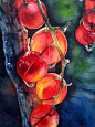 Red currant : paper Lanaquarelle 300 g torchon 29*44 cm, St-Petersburg "White Nights" professional watercolour