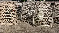 巴厘岛bedugul竹笼里的公鸡