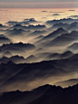 云雾缭绕的山林