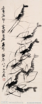 齐白石虾图片_百度图片