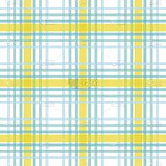 格子棉布无缝图案。