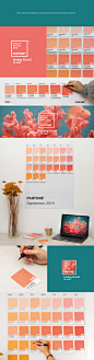 PANTONE Calendar 2019 : Inspired by the new Pantone 2019 - Living Coral, we have designed a Pantone Componibile calendar.