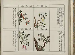 琯朗壁纸｜壁纸文字部分提取自：《王摩诘诗集》共七卷，收录盛唐山水田园派诗人王维五言、七言诗集，其中最能代表其创作特色的是描绘山水田园等自然风景及歌咏隐居生活的诗篇。此本为明末文学家、小说家和雕版印书家吴兴凌濛初朱墨套印本。

壁纸图案部分提取自：《中国药用本草绘本》18世纪彩绘本。其中记载了相思子，以及海红豆。