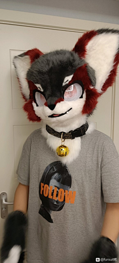 兽装-花瓣网|陪你做生活的设计师 | 来做的崽崽【fursuit吧】_百度贴吧