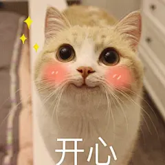 #Bobi酱！# 
你们喜欢的微笑系列集合……九宫格放不下了～
当初大家是通过那张表情包认识爱上bobi的呀，评论欢迎补充 ​