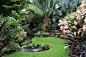 Tropical Garden: