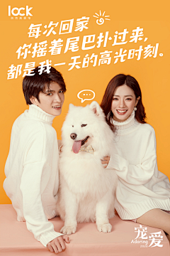 暮傀采集到摄影海报