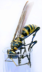 The awesome spare-parts sculpture of Edouard Martinet..it's a wasp, but I love it.: 
