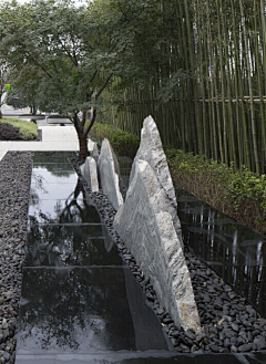 小肥海狮采集到水景