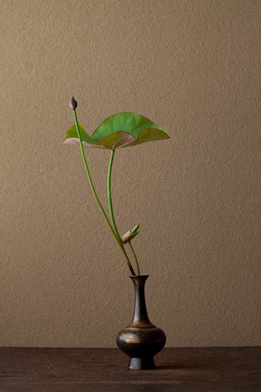 2012年6月30日（土）
この1年、生...