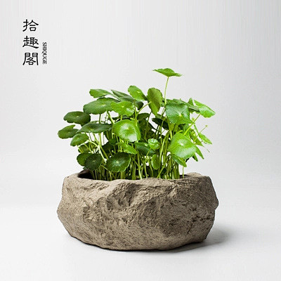 手工粗陶茶洗陶瓷杯洗水培植物花盆渣斗笔洗...