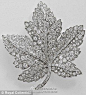  皇室取名真是随意。。。这枚叫枫叶胸针（The Maple Leaf Brooch）1939年女王的妈妈出访加拿大时候收到的礼物，慢慢的钻石啊~2002年女王继承了这个胸针，之后每次有女性皇室成员访问加拿大都会戴上。@北坤人素材