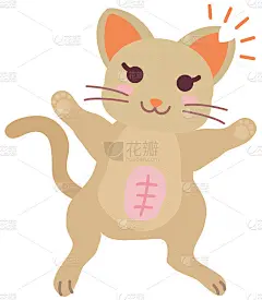 区域猫计划的“中性”插图。