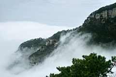 花间禅院采集到丁-摄影禅之风景