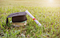 closeup certificate paper and black cap on green grass spring time in the outdoor park. education happy success achievement graduated celebrate graduate day concept panoramic background banner - graduate 個照片及圖片檔