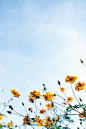 Spring Pictures | Download Free Images & Stock Photos on Unsplash
