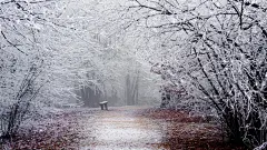 白雪皑皑大雪节气雾气朦朦自然风景高清桌面壁纸http://www.kutoo8.com/