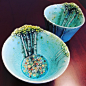 “生长”在陶瓷容器上的白杨树 | 美国蒙大拿州艺术家 Heesoo Lee ​​​​
