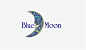 蓝月亮图形标志设计logo设计