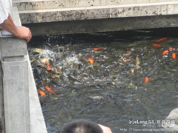 兴城，秦皇岛，山海关游记