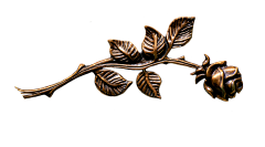 idDjCFNq采集到花瓣素材
