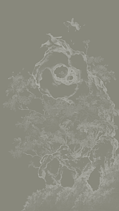 郑在改了采集到背景