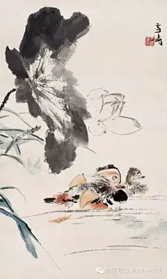 清新秀丽情趣盎然：王雪涛写意荷花作品