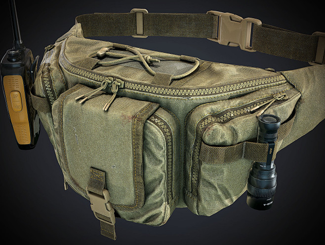 Waist Pack