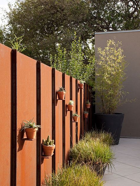 cacti on the wall#景墙...