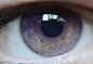 紫色的虹膜 | 全球仅有600双这样的眼睛，具有“亚历山德利亚起源”基因的人的第一个显著的特征就是那双神秘的紫色眼睛。当他们出生的时候，他们的眼睛的颜色会是蓝色或是灰色的。当他们六个月的时候，他们眼睛便开始发生转变，由原来的蓝色/灰色变成紫色。著名影星 伊丽莎白·泰勒就是紫色瞳孔