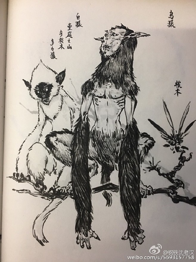 山海经白猿乌猿
