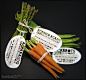 Plantable Vegetable Packaging我喜欢这个绿色蔬菜的创意包装，没有塑料纸包装的蔬菜看上去更健康。欣赏之后是不是也想动手为家里的蔬菜DIY一些标签呢？