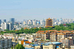 轻松绿采集到HUST记忆