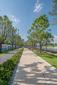 清风绕指采集到Landscape┃市政道路  绿道