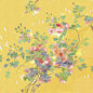 芙蓉2