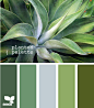 Design Seeds® | for all who ❤ color | planted palette