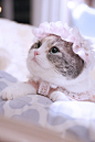 8月里的第一波妹！希望会为你带来好运呀 ​​​​