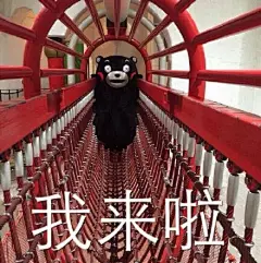 #熊本表情包##kumamon# 第二弹 啊 我对部长的爱啊