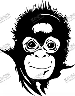 手绘动物猴子 【酷图网】猴子,猴头,原猴,类人猿,金丝猴,狐猴,绒毛猴,小猴,长臂猿,猩猩,珍稀动物,动物世界,濒危动物,野外生物,卡通动物,动物插画,动物乐园,森林大冒险,森林奇遇,书本插画,动物园,保护动物,动物农场,宠物之家,宠物饲养,动物保护,爱护动物,野外动物,野生物种,观赏动物,动物资源,动物素材,手绘动物