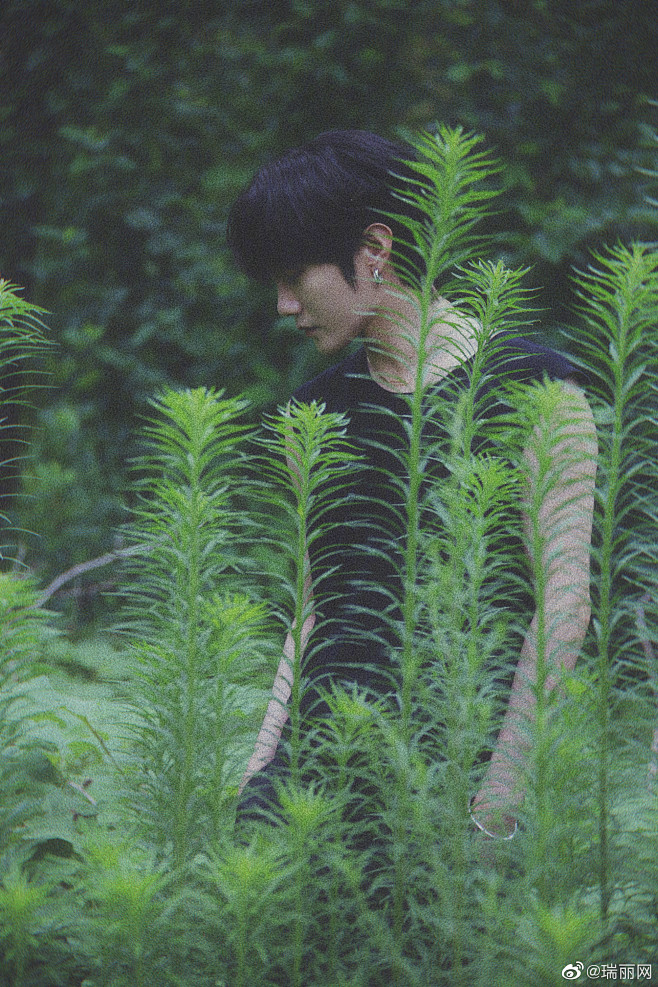 @瑞丽网 的个人主页 - 微博