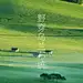 内蒙坝上路线全新升级‼️夏天去避暑的抓紧咯 - 小红书